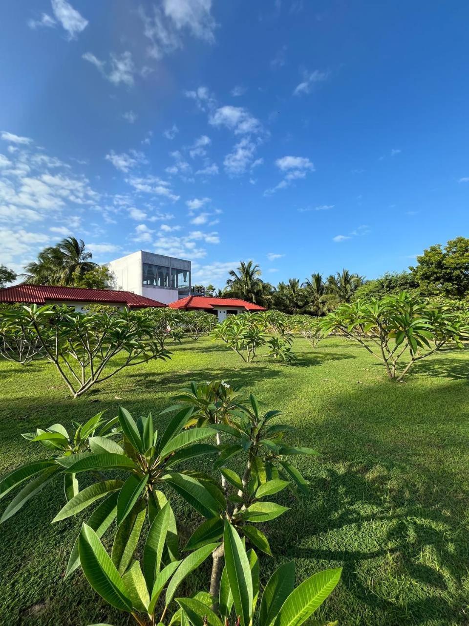 Nn Beach Resort & Spa Nilaveli Exteriör bild
